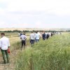particelle grano azienda itt solimene 07