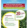 Eventi - Campo Parcellare ITT