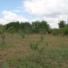 Campo Parcellare ITT