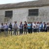 Campo Parcellare ITT
