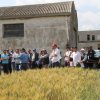 Campo Parcellare ITT